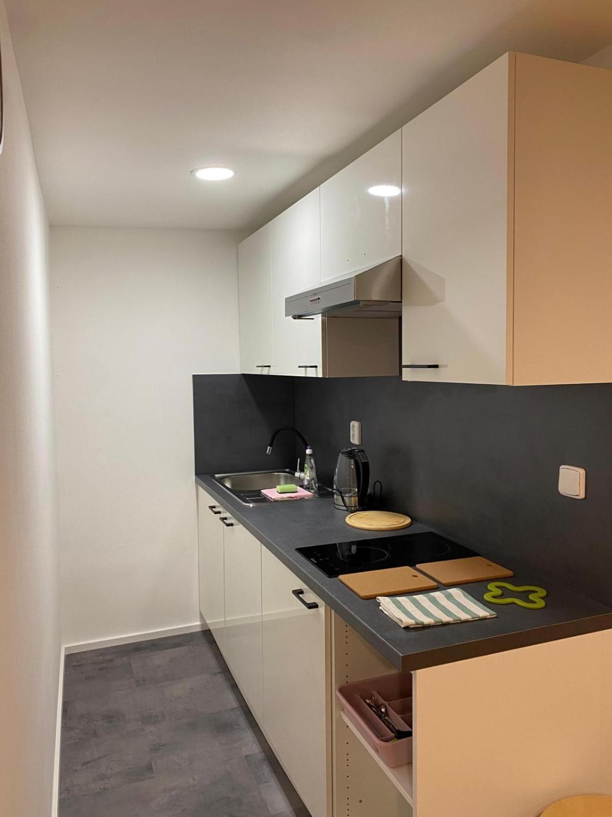 Pod Lipou Apartment Liberec Exterior photo